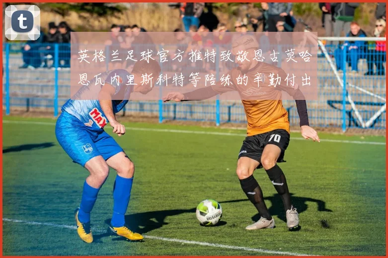 英格兰足球官方推特致敬恩古莫哈恩瓦内里斯科特等陪练的辛勤付出